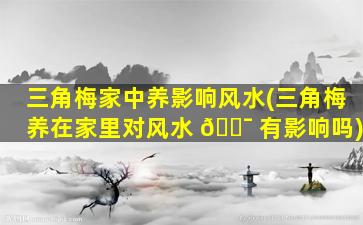 三角梅家中养影响风水(三角梅养在家里对风水 🐯 有影响吗)